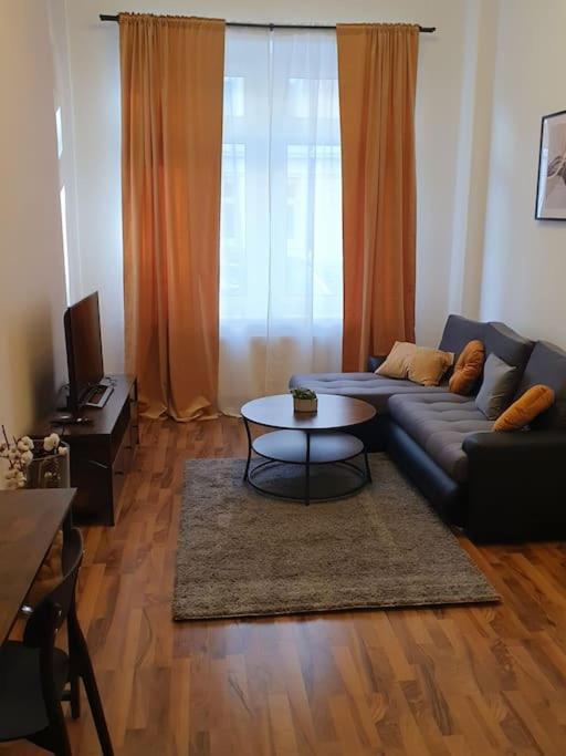 Apartment In Dresden